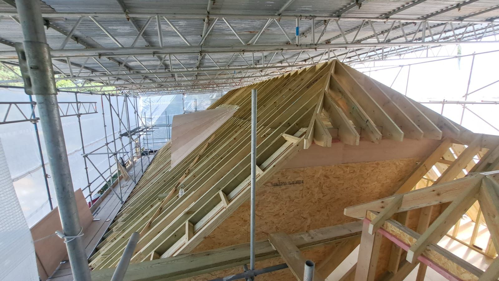 Roof 3